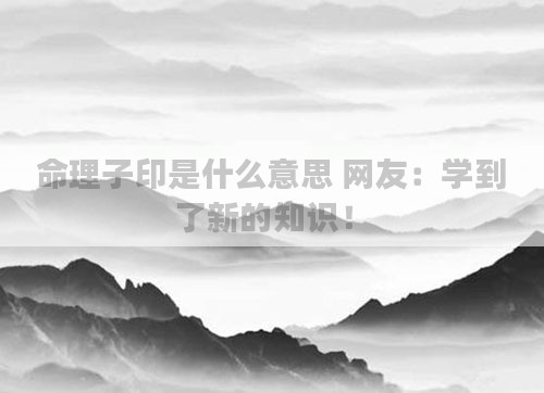 命理子印是什么意思 网友:学到了新的知识!