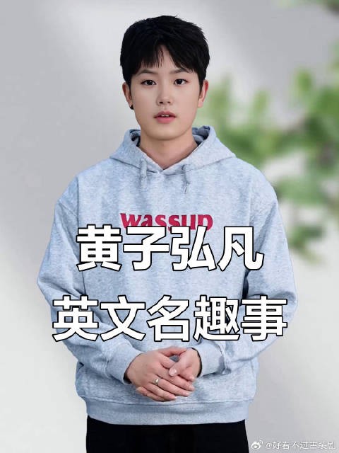 黄子弘凡<a target=