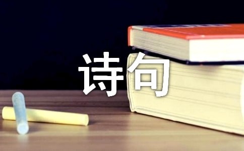 描写冬雨的诗句（精选110句）