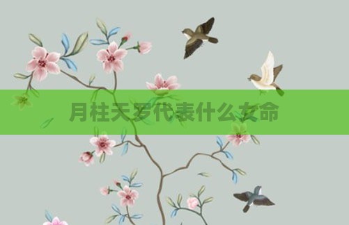 月柱天罗代表什么女命