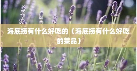 海底捞有什么好吃的（海底捞有什么好吃的菜品）