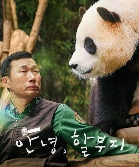《再见，福宝》确定上映！韩国人真会给自己脸上贴金