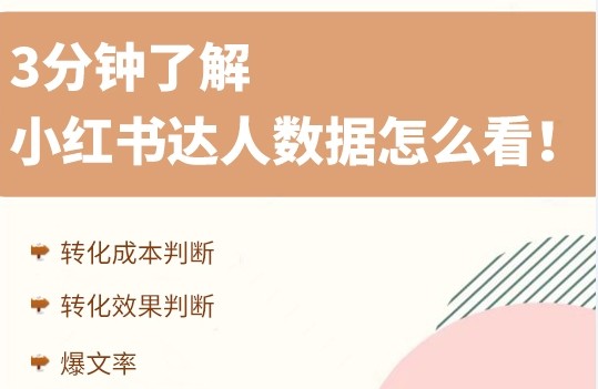 小红书达人数据怎么看，找达人合作需要注意什么？