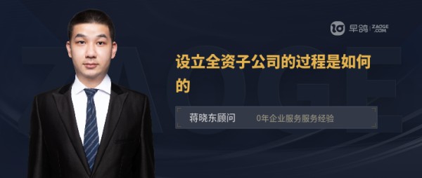 设立全资子公司的过程是如何的