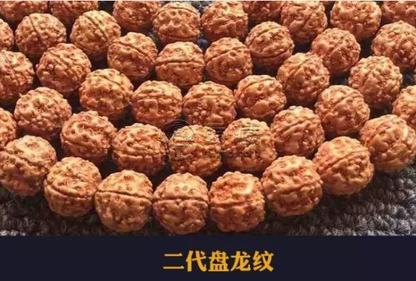 小金刚纹路种类图解 小金刚纹路种类汇总