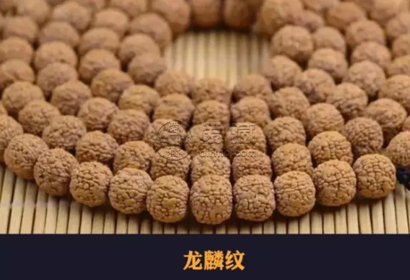 小金刚纹路种类图解 小金刚纹路种类汇总