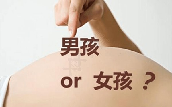 B超数据可以看胎儿性别