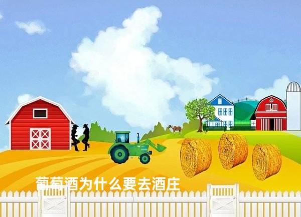 葡萄酒为什么要去酒庄