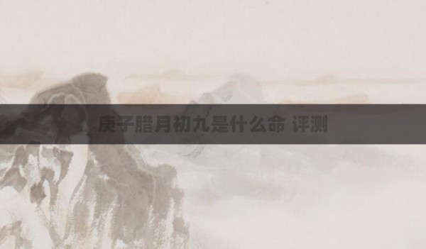 庚子腊月初九是什么命 评测