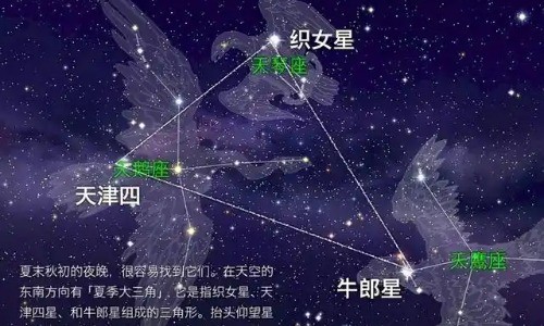 你知道牛郎星属于什么星座吗？一探浪漫星空.jpg