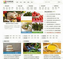 最新仿新版中华养生网门户<a target=