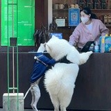 哥哥们。。有没有人知道到底啥情况?南王和小明????咋又连上了？?