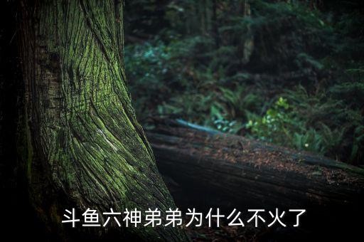  斗鱼六神弟弟为什么不火了