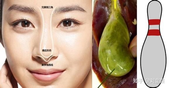 鼻若悬胆，细数悬胆鼻的女明星 最美悬胆鼻女明星