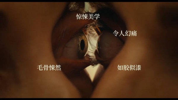 恐怖片同甘共苦定档9月19日,情侣肉体融合引恐惧