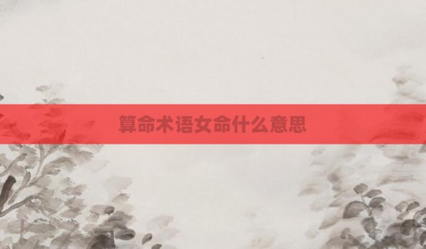 算命术语女命什么意思