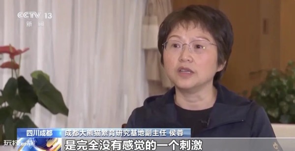 网暴大熊猫专家、编造“虐待”谣言敛财……12人被起诉！-图片5