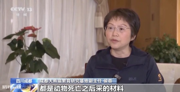 网暴大熊猫专家、编造“虐待”谣言敛财……12人被起诉！-图片6