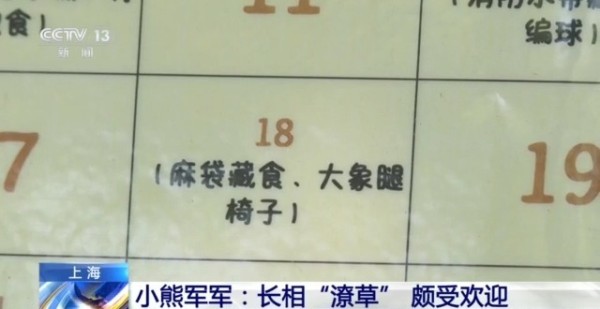 动物园萌力对决 “红糖”VS“潦草熊”谁更让你心动？