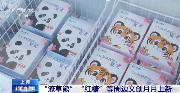 动物园萌力对决 “红糖”VS“潦草熊”谁更让你心动？