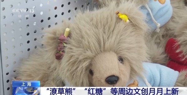 动物园萌力对决 “红糖”VS“潦草熊”谁更让你心动？
