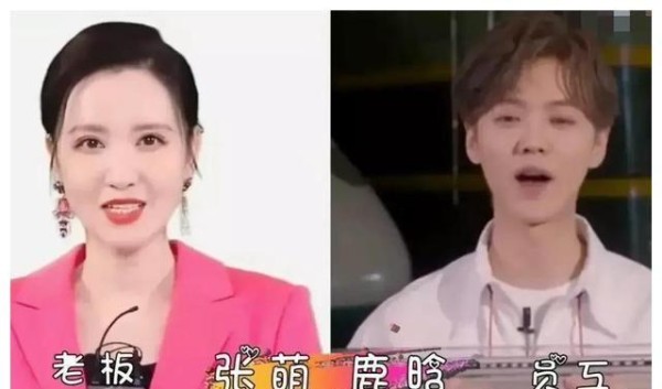 乔欣：我老板贾乃亮，张小斐：我老板赵丽颖，看王一博：难怪偏爱
