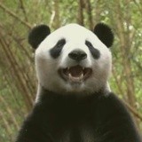 麦小藤哇哇哇