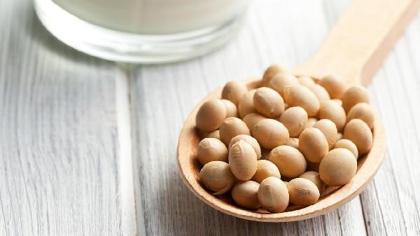 大豆和黄豆是什么关系