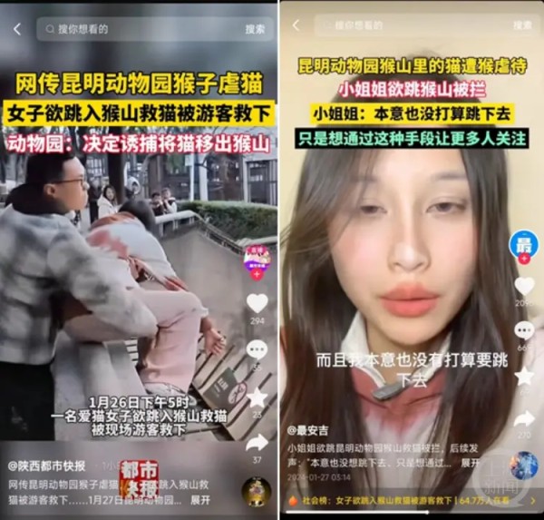 跳猴山救猫的女子表示，自己没有打算要跳下去。 网络图