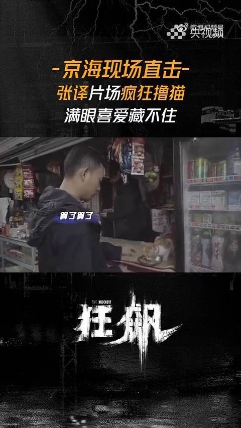演员张译的另一面：爱猫成“痴”