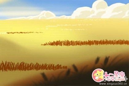 性格测试