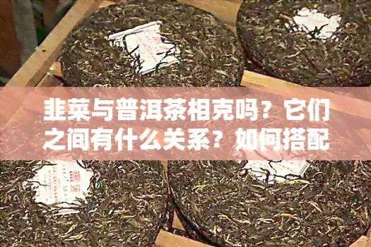 韭菜与普洱茶相克吗？它们之间有什么关系？如何搭配饮用才能避免不良反应？