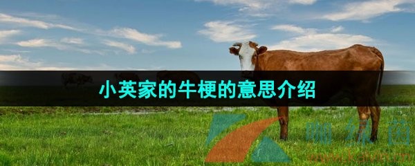 《抖音》小英家的牛梗的意思介绍