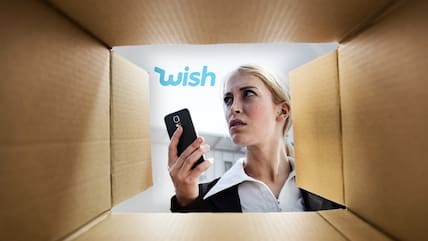„Auf Wish bestellt“: Eine Onlineshoppingplattform wird berühmt, weil sie negative Assoziationen auslöst – und es deshalb auf etliche Memes schafft. Sie bietet Produkte besonders günstig an.