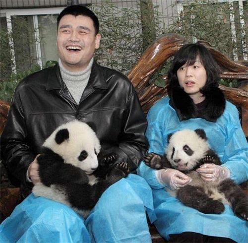 姚明和大熊猫合影，成龙和大熊猫合影，都没他和大熊猫合影厉害！