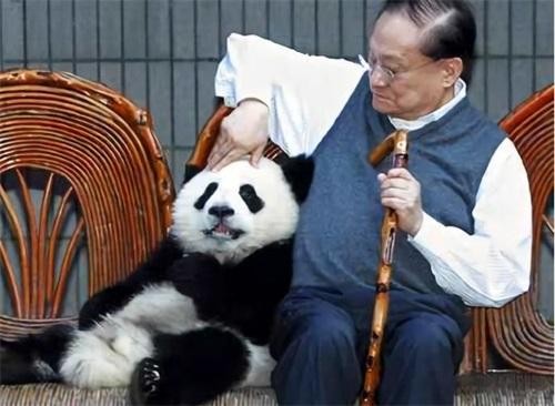 姚明和大熊猫合影，成龙和大熊猫合影，都没他和大熊猫合影厉害！