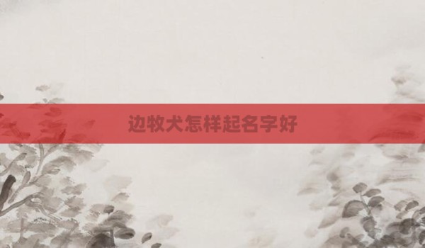 边牧犬怎样起名字好