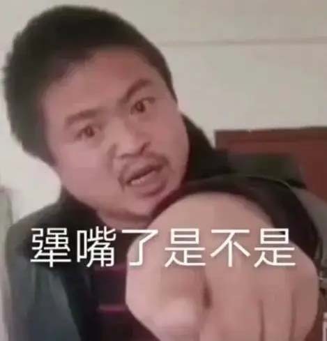 丽丽骂人表情包图片