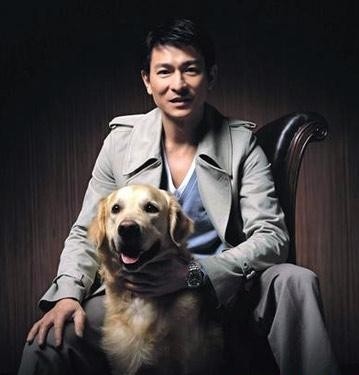 天王刘德华与金毛的不解之缘——竟源于大写的嫌弃？！