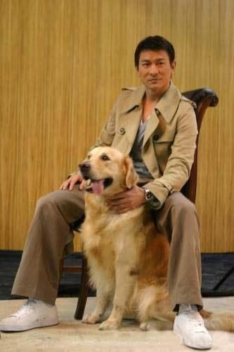 天王刘德华与金毛的不解之缘——竟源于大写的嫌弃？！