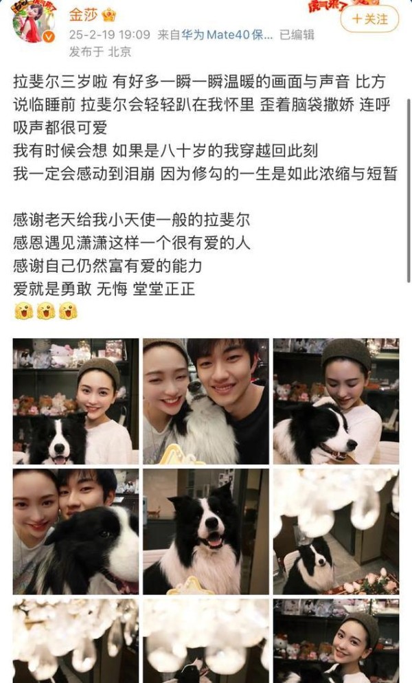 金莎为宠物狗庆生甜蜜合影，孙丞潇暖心陪伴，姐弟恋幸福依旧！