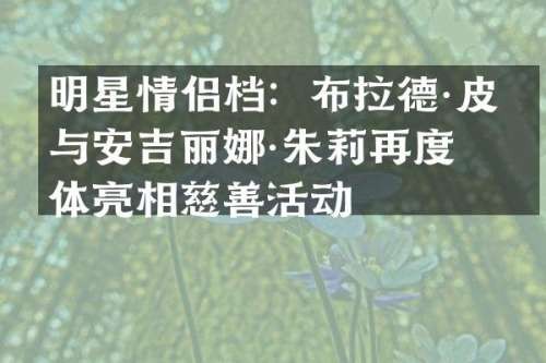明星情侣档：布拉德·皮特与安吉丽娜·朱莉再度合体亮相慈善活动