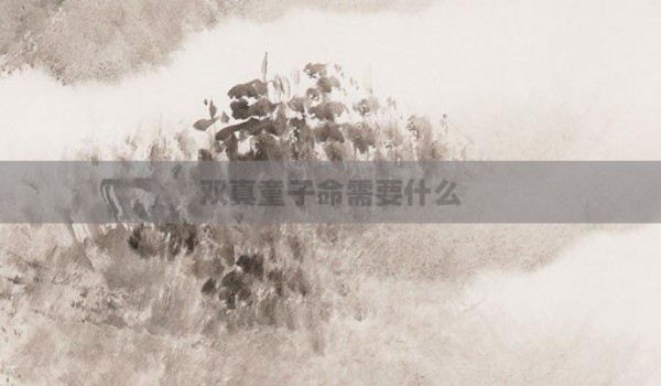 双真童子命需要什么