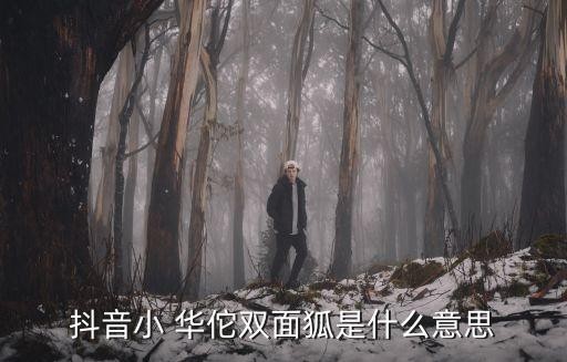 抖音小 华佗双面狐是什么意思