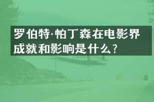 罗伯特·帕丁森在电影界的成就和影响是什么？