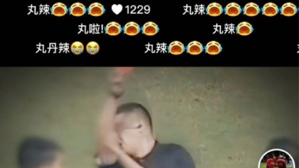 丸辣是什么意思