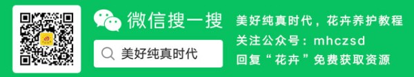 蝴蝶兰和兰花是什么关系