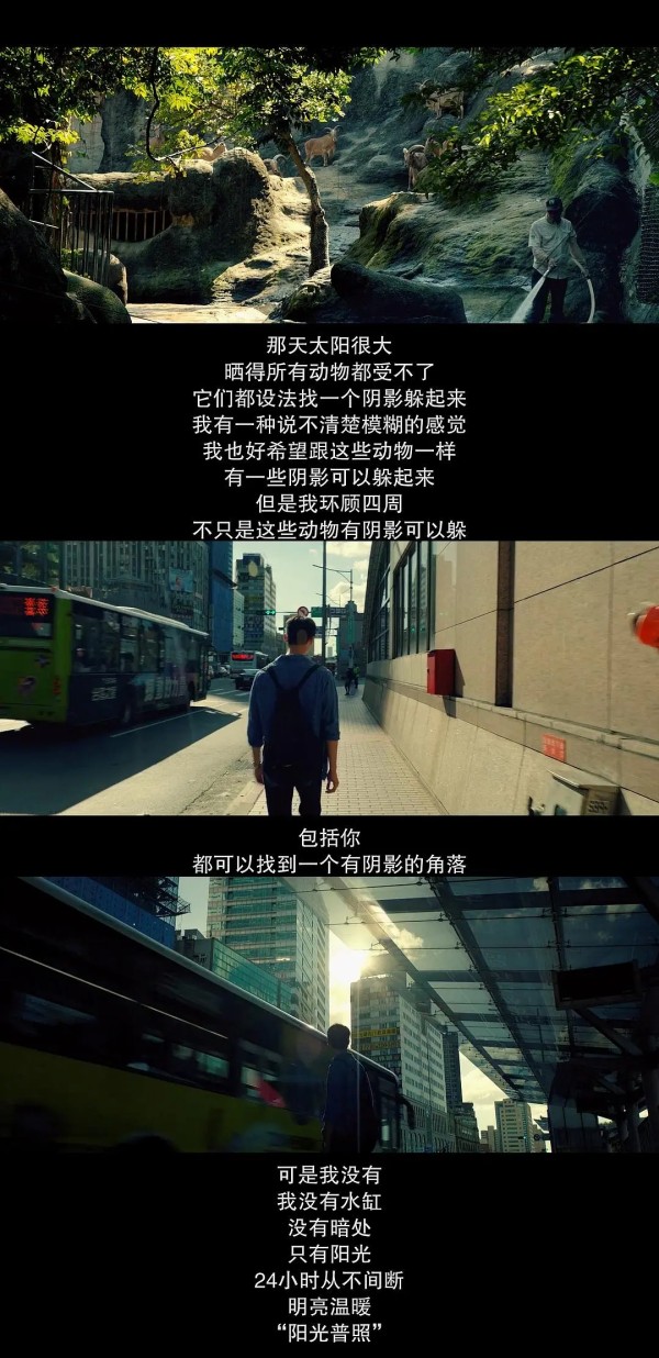 阿豪太好，菜头太坏，阿和到底是好还是坏？