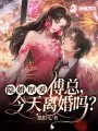 隐婚厚爱:傅总,今天离婚吗?