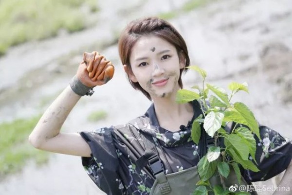陈瑶长着一张初恋脸，娱乐圈论灵气我只服她，星途被看好！（2）